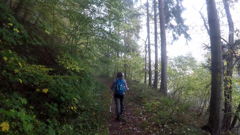 Urwaldsteig