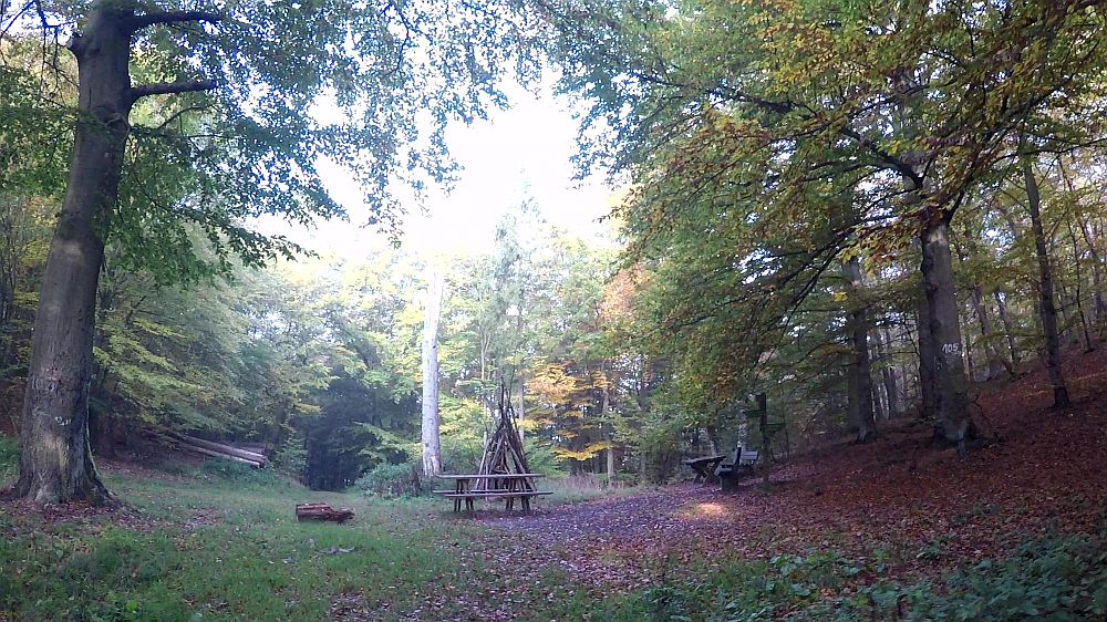 Urwaldsteig