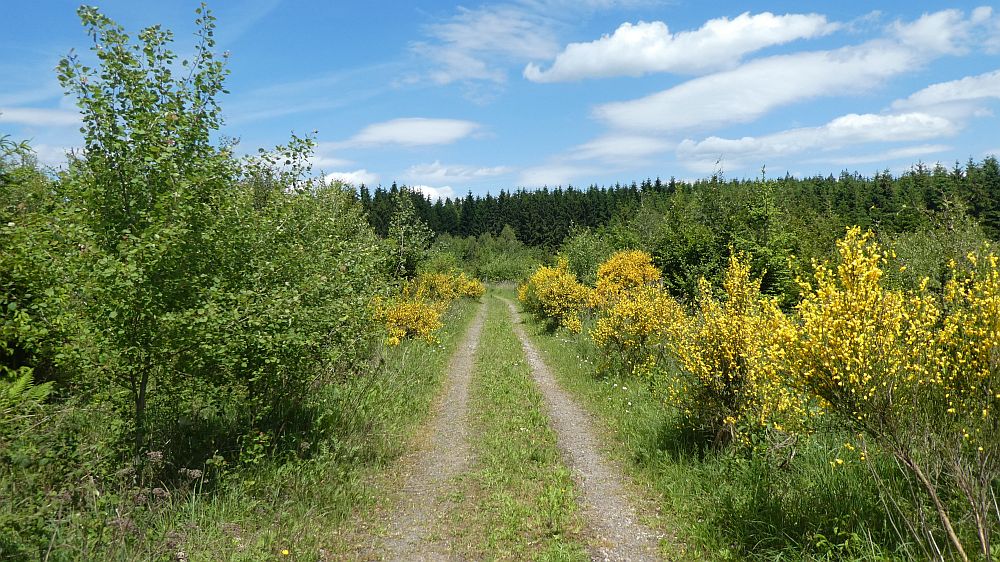 Veischeder Sonnenweg