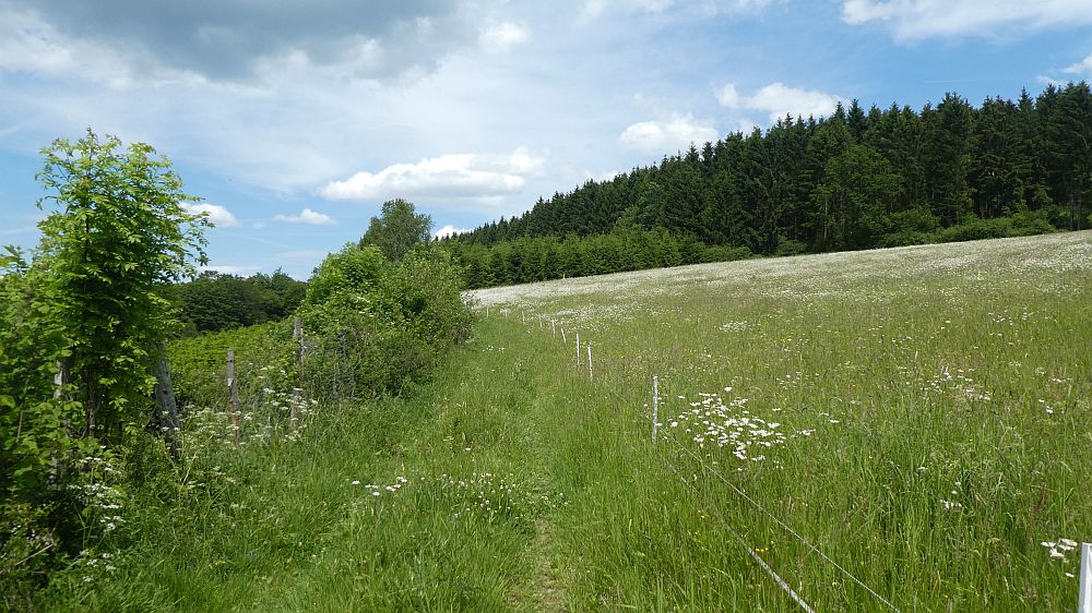 Veischeder Sonnenweg