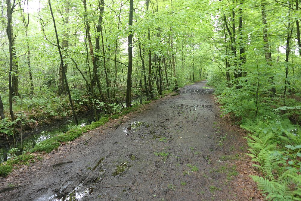 Venner Moor
