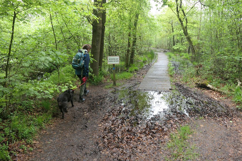 Venner Moor