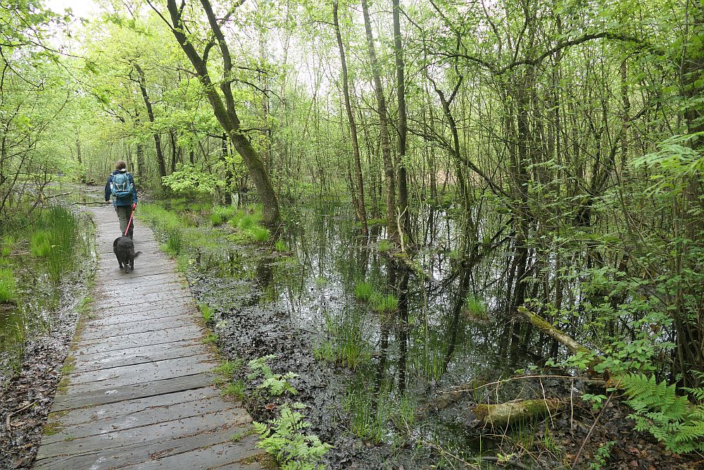 Venner Moor