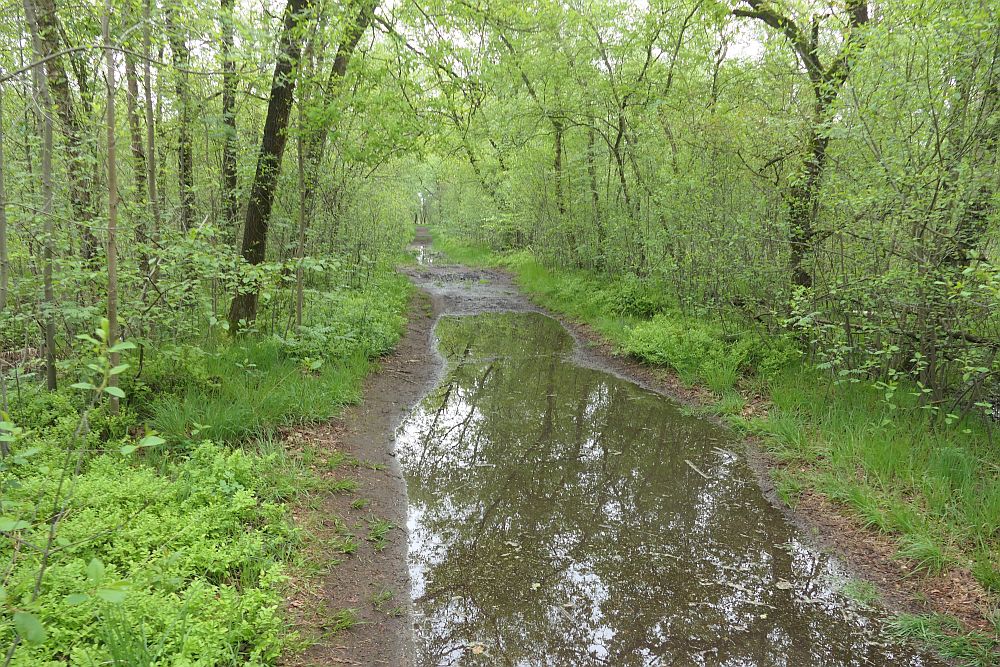 Venner Moor