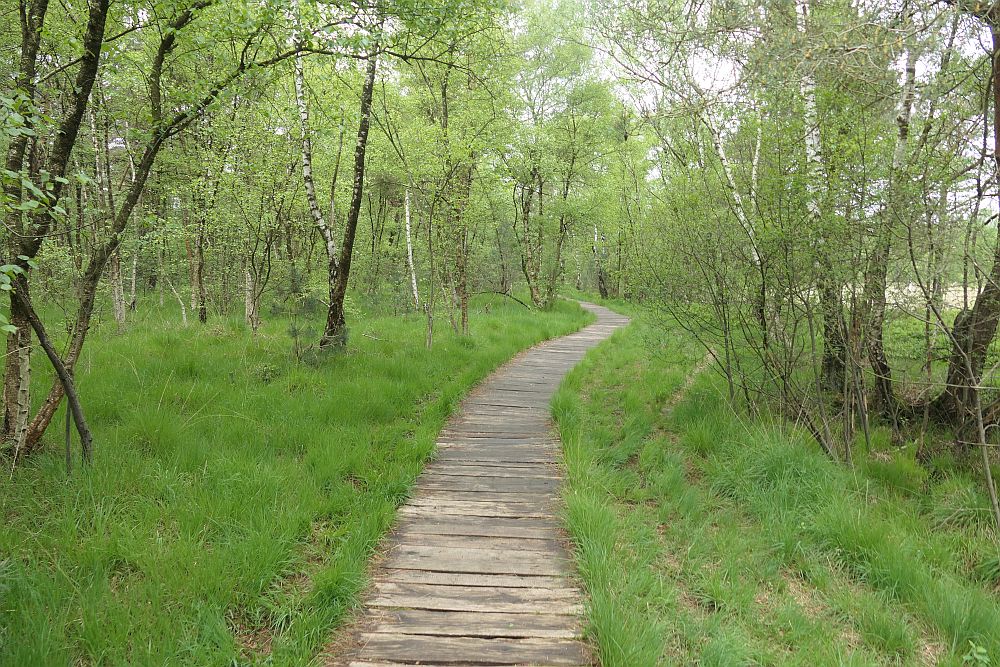 Venner Moor