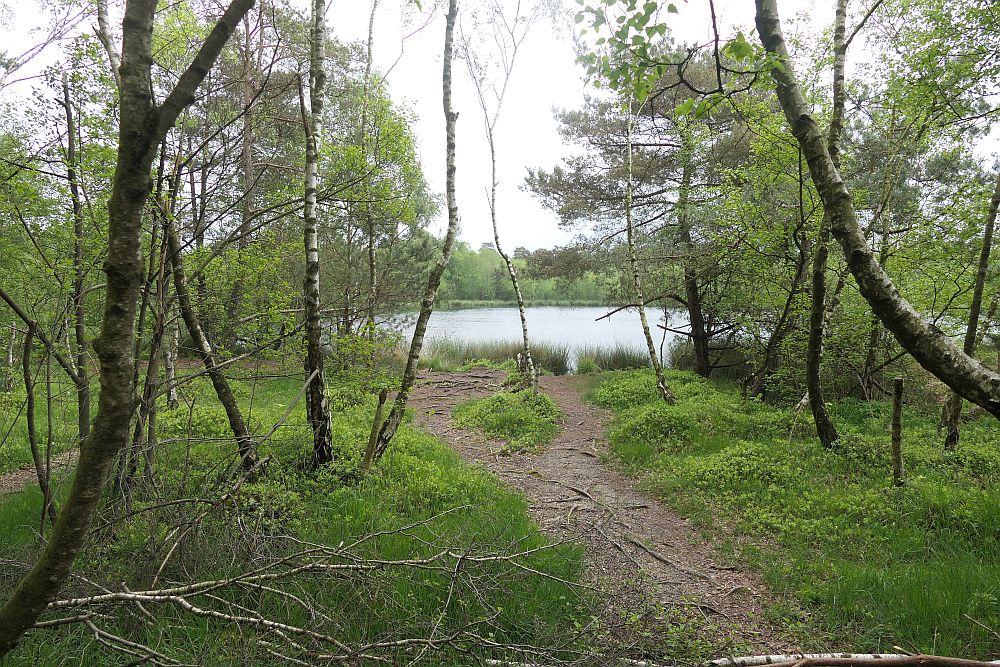 Venner Moor