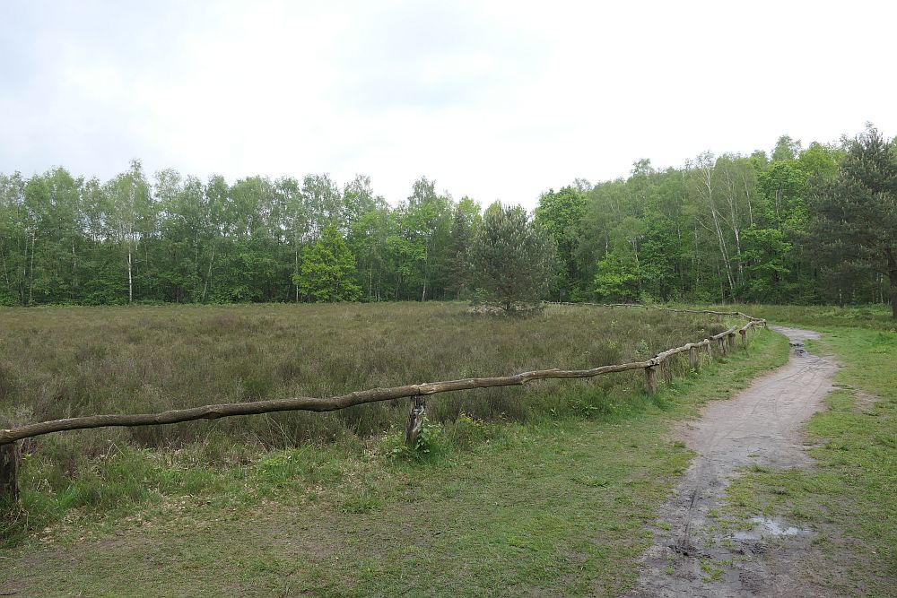 Venner Moor