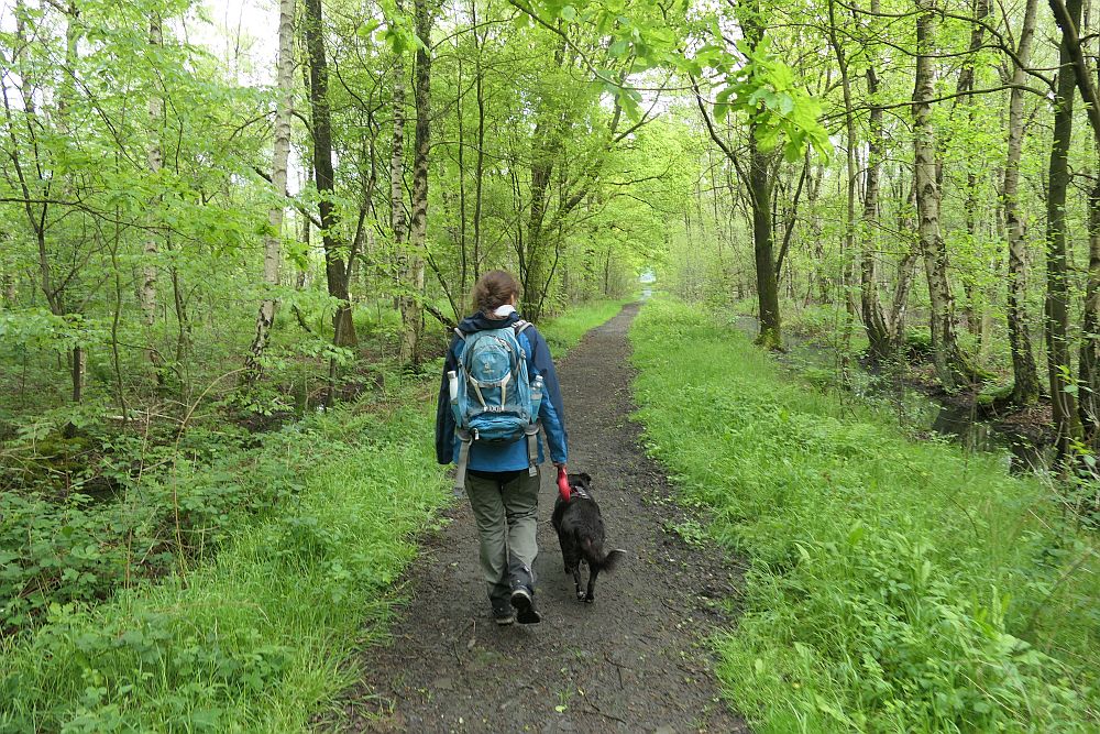 Venner Moor