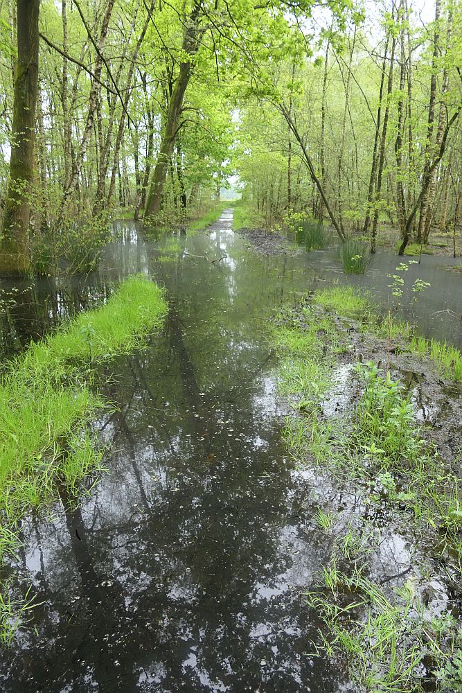 Venner Moor