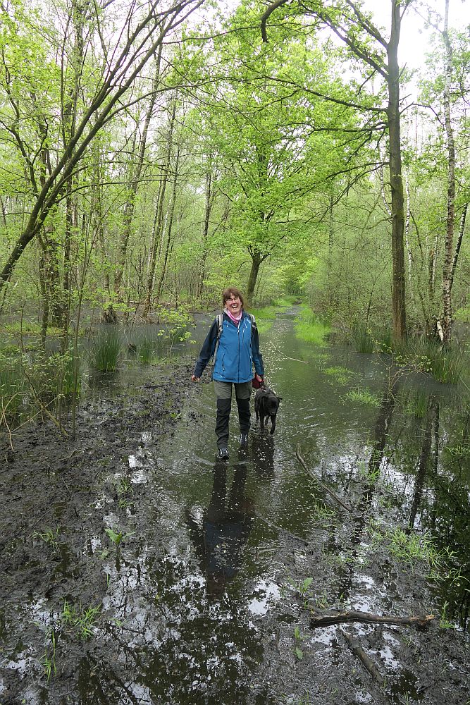 Venner Moor