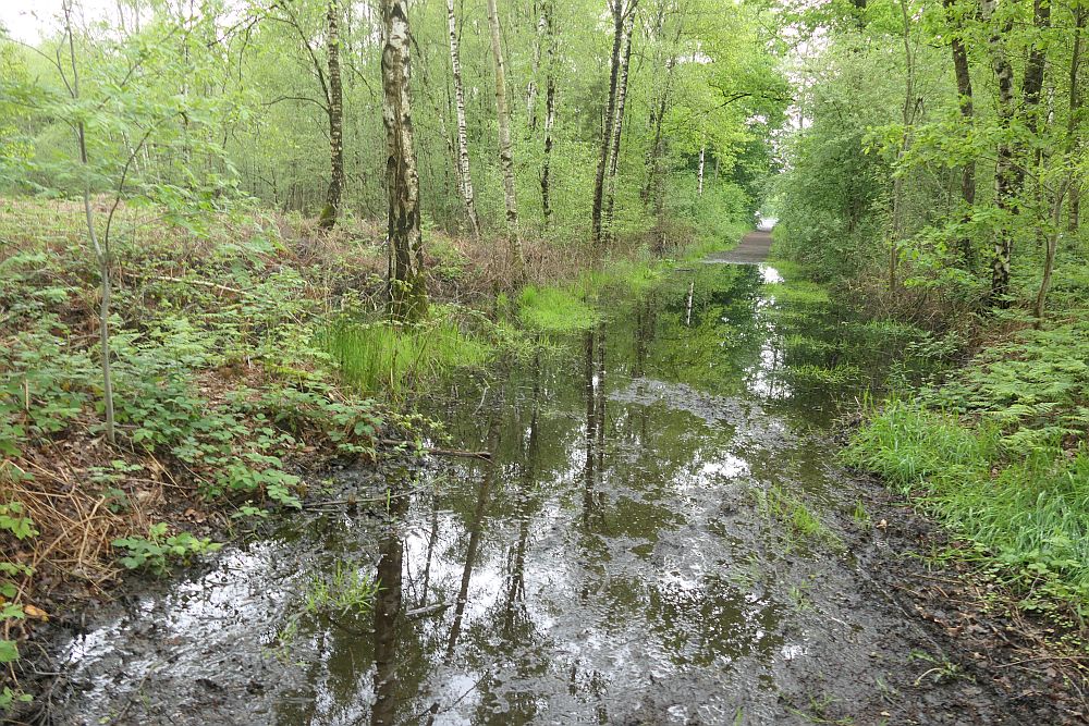 Venner Moor