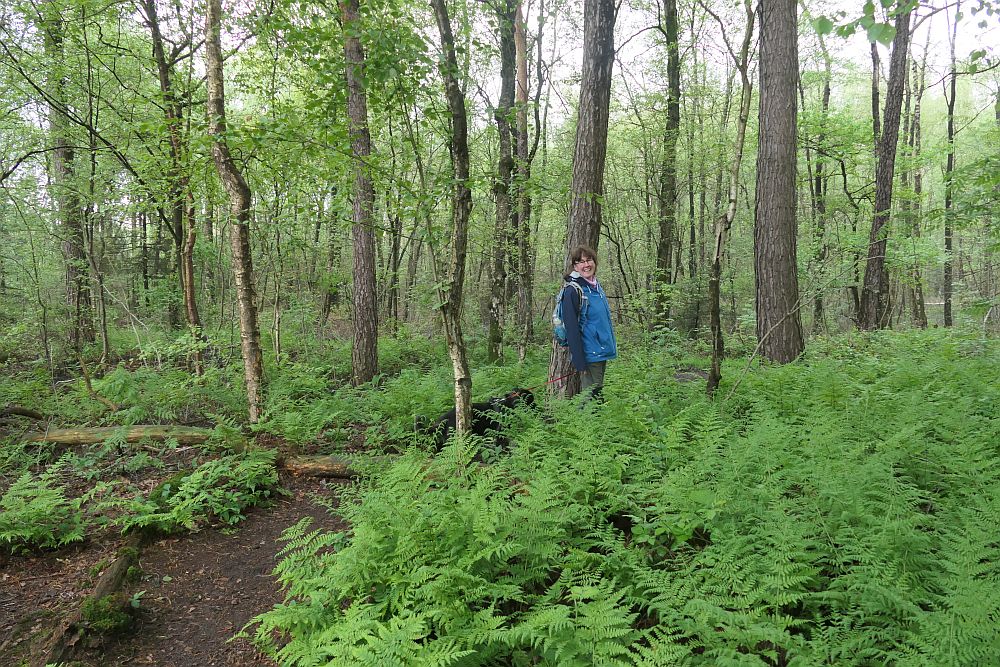 Venner Moor