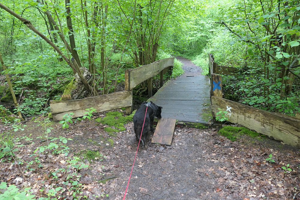 Venner Moor