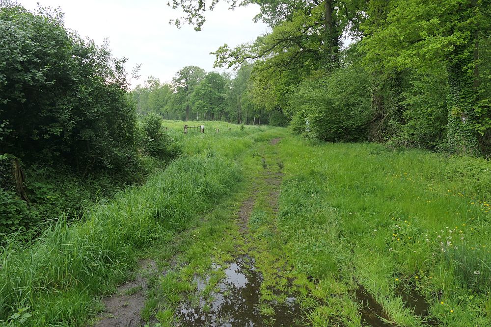 Venner Moor