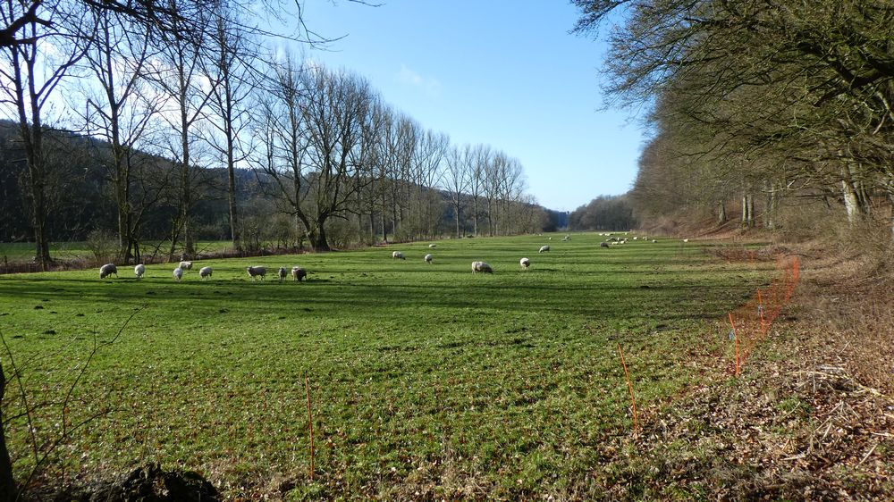 Viadukt Wanderweg