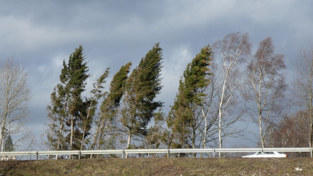 Viadukt Wanderweg