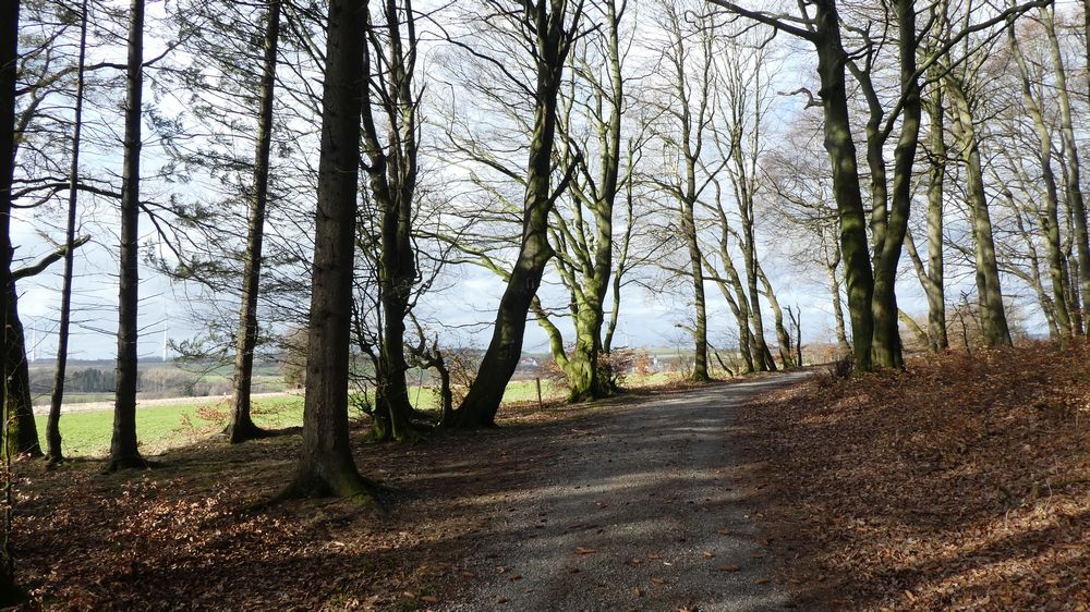 Viadukt Wanderweg