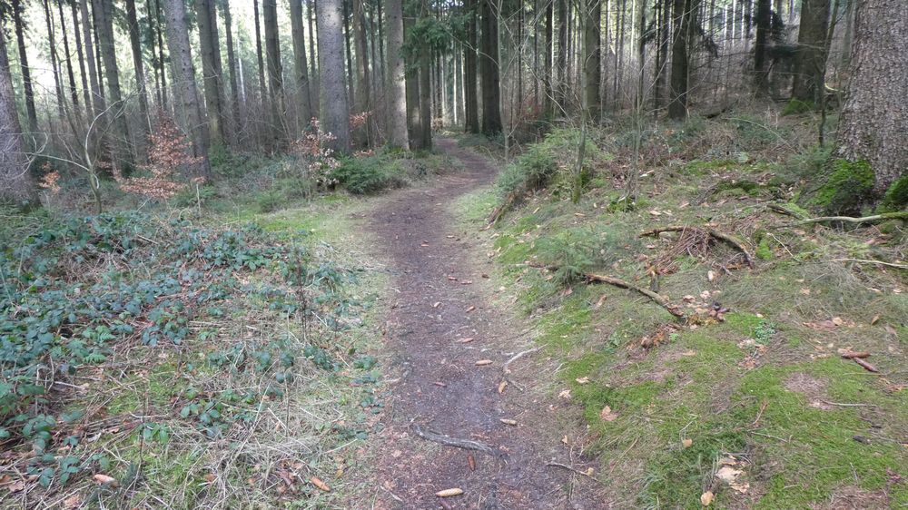 Viadukt Wanderweg