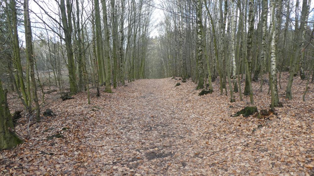 Viadukt Wanderweg