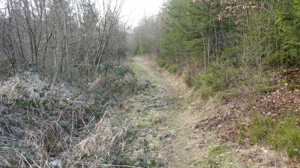 Viadukt Wanderweg