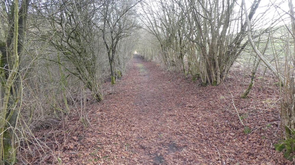 Viadukt Wanderweg