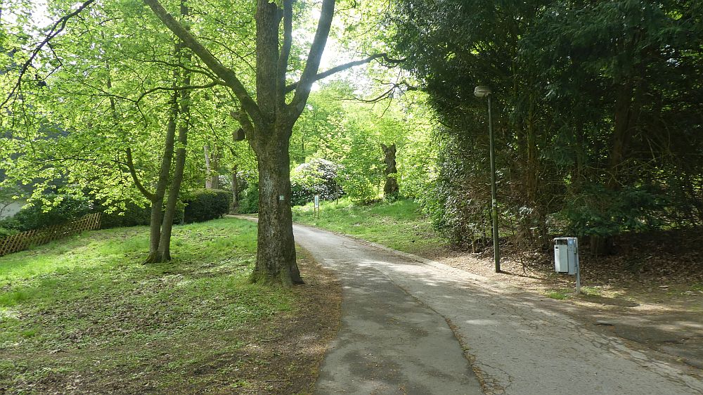 Sauerländer Waldroute