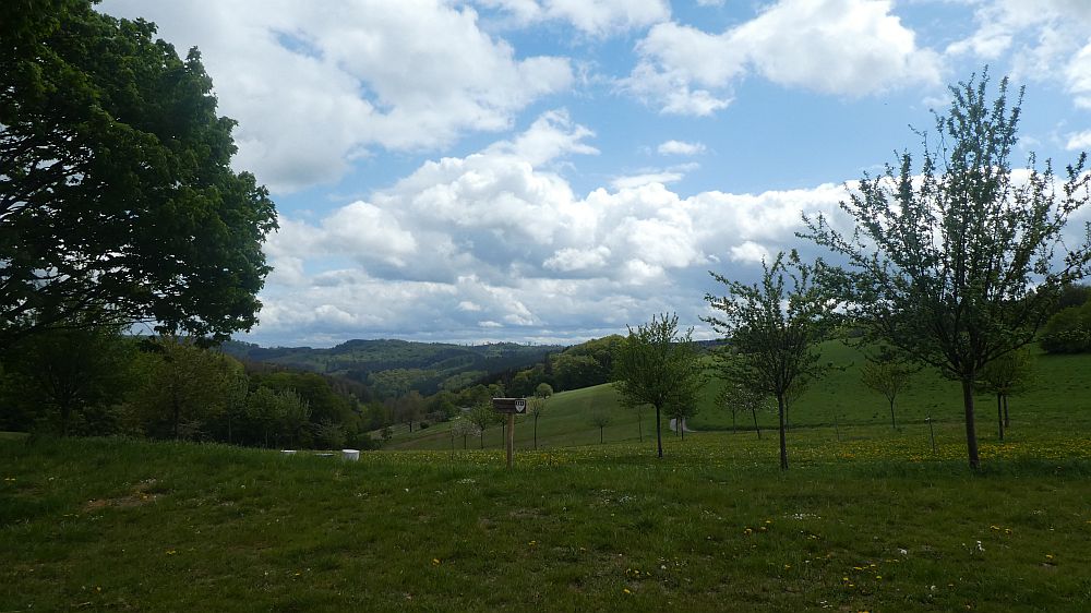 Sauerländer Waldroute