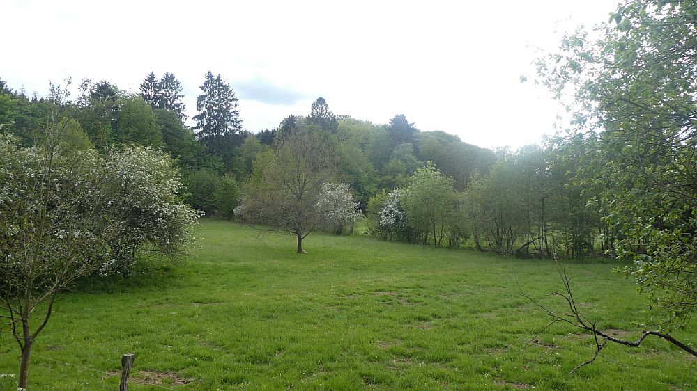 Sauerländer Waldroute