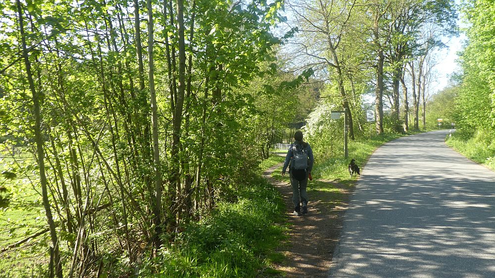 Sauerländer Waldroute