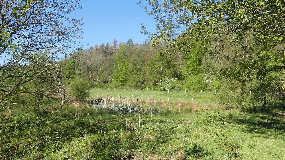 Sauerländer Waldroute