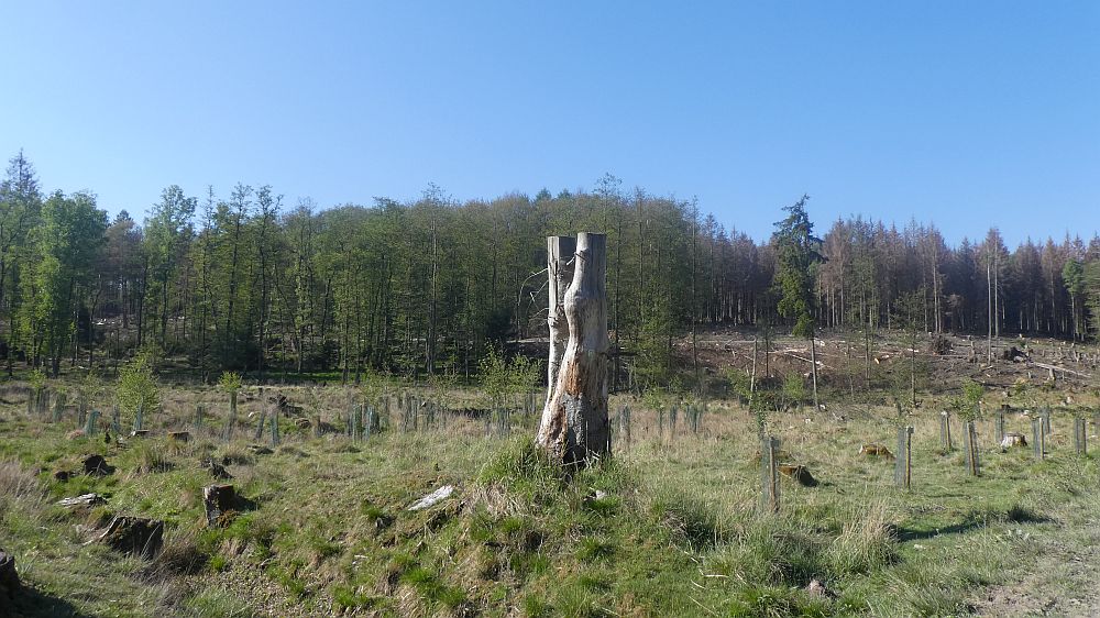 Sauerländer Waldroute