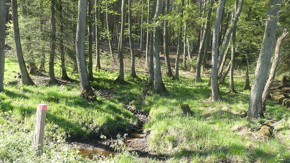 Sauerländer Waldroute