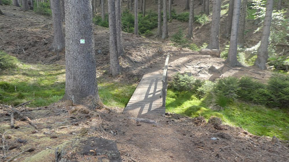 Sauerländer Waldroute