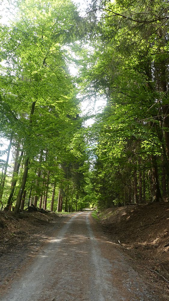 Sauerländer Waldroute