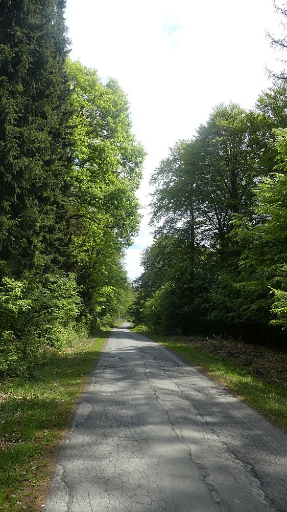 Sauerländer Waldroute