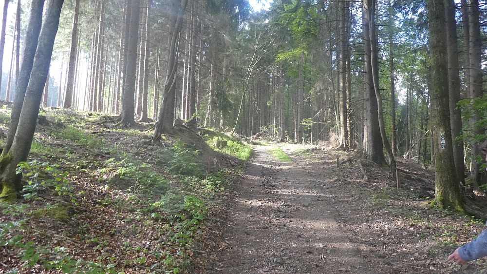 Sauerländer Waldroute