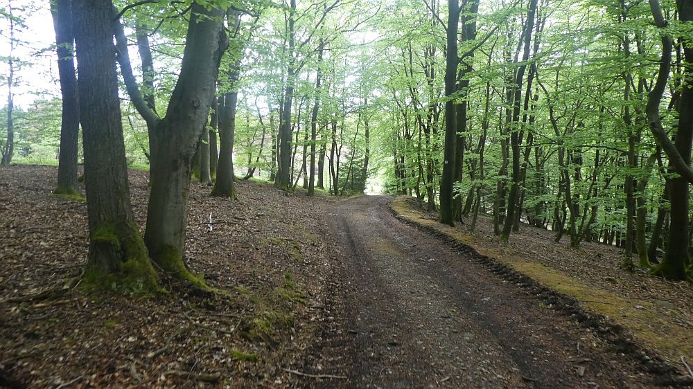 Sauerländer Waldroute
