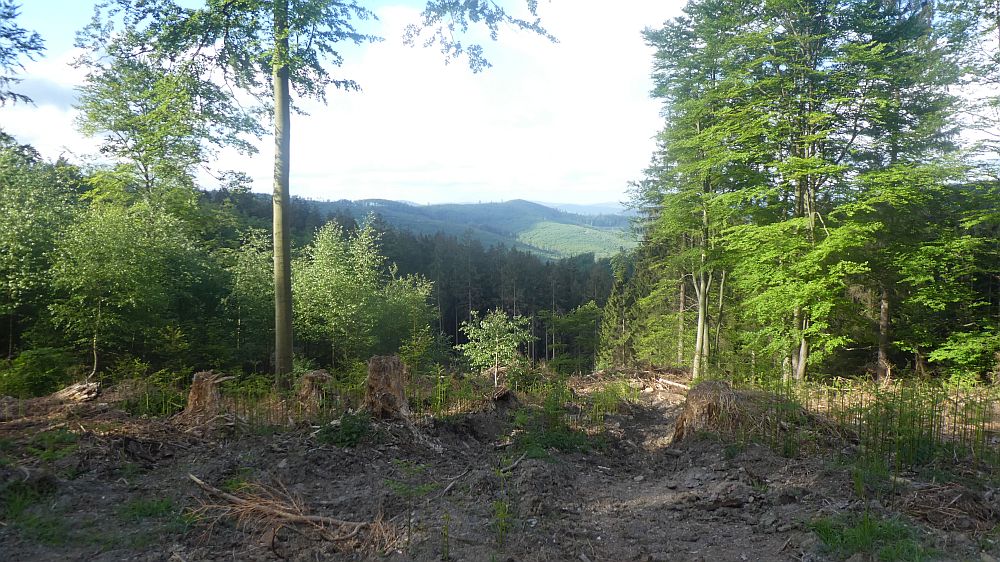 Sauerländer Waldroute