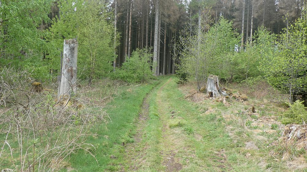 Sauerländer Waldroute