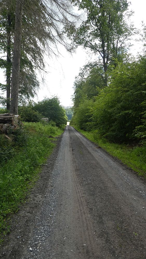 Sauerländer Waldroute