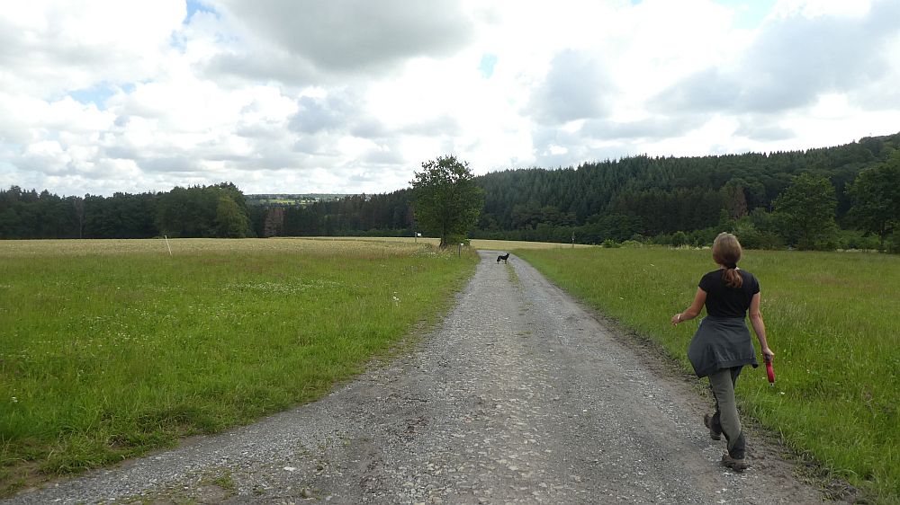 Sauerländer Waldroute