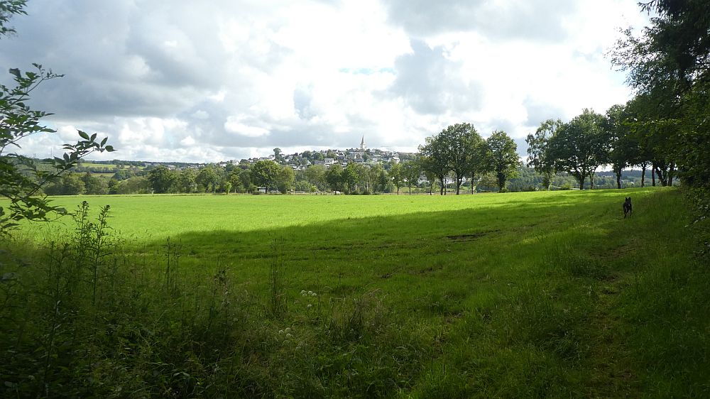 Sauerländer Waldroute