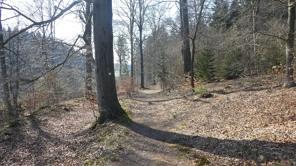 Sauerländer Waldroute