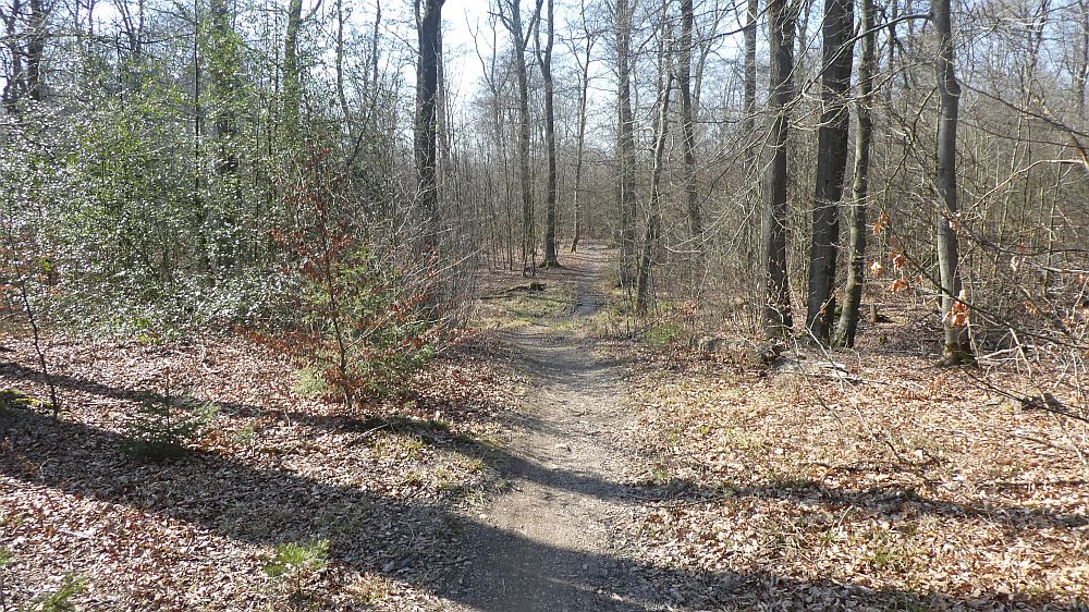 Sauerländer Waldroute
