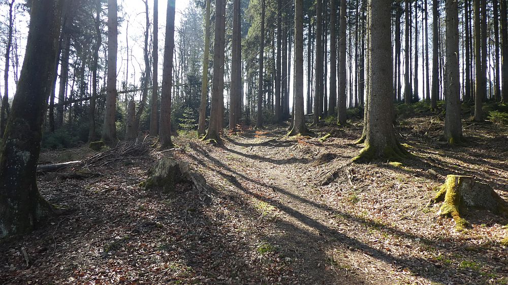 Sauerländer Waldroute