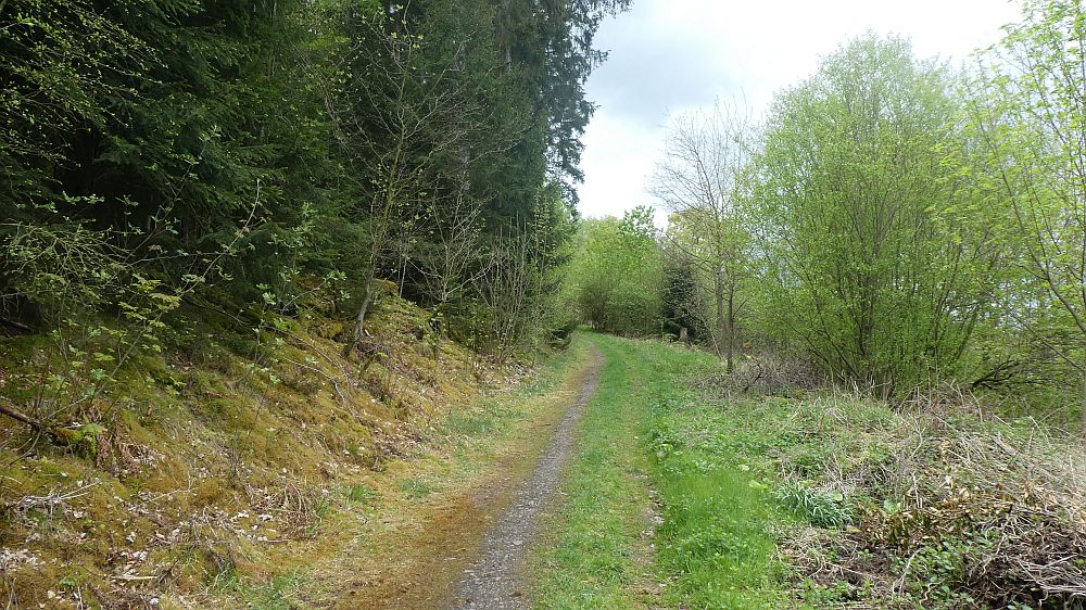 Sauerländer Waldroute