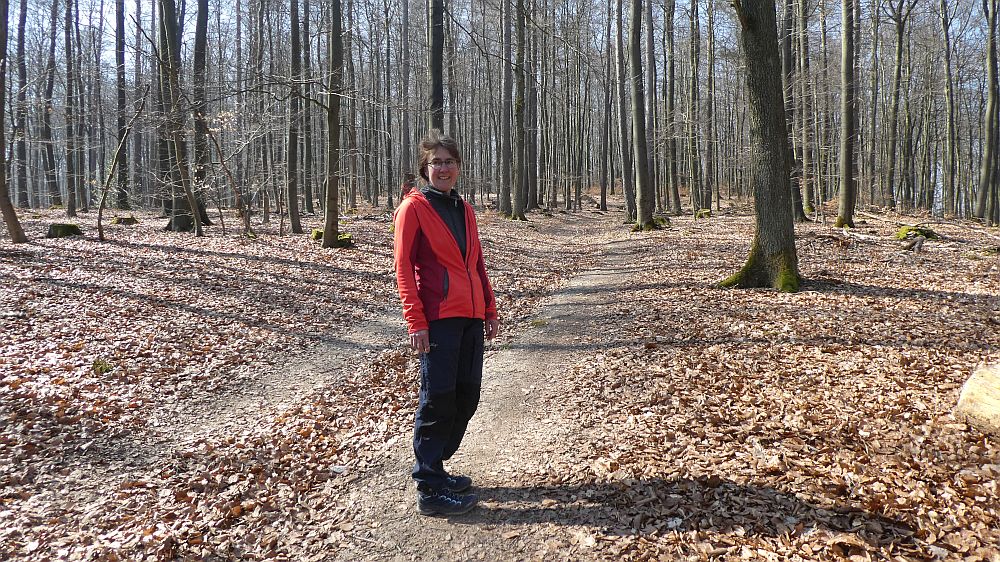 Sauerländer Waldroute