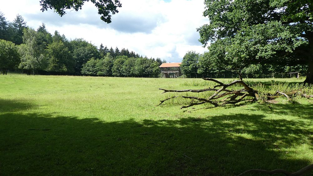 Sauerländer Waldroute