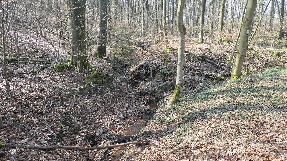 Sauerländer Waldroute