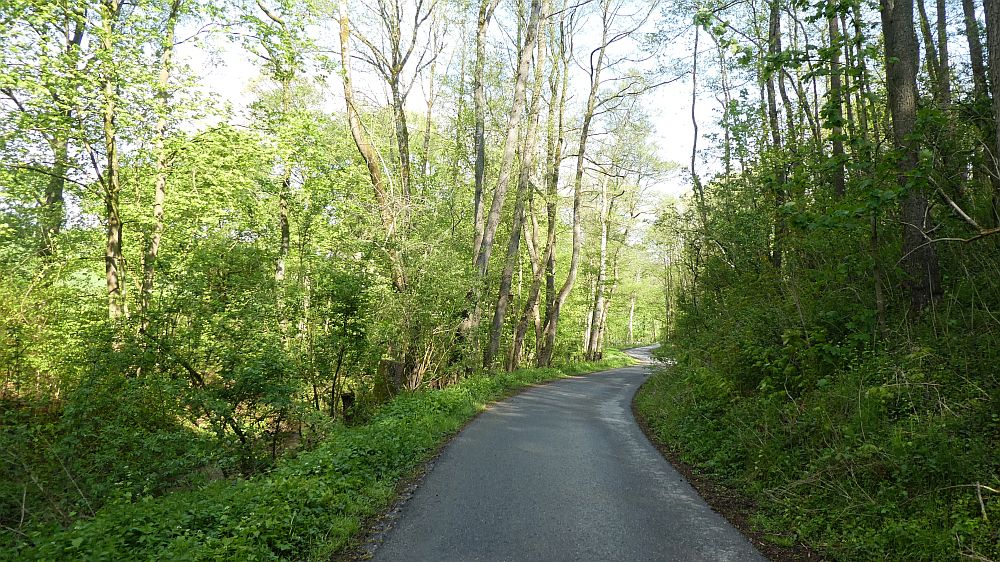 Sauerländer Waldroute
